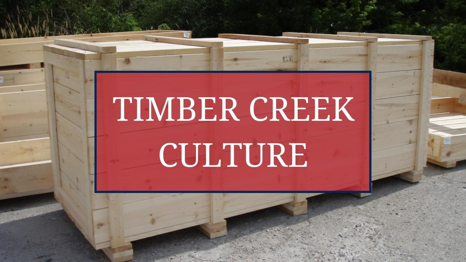 Timber Creek Culture